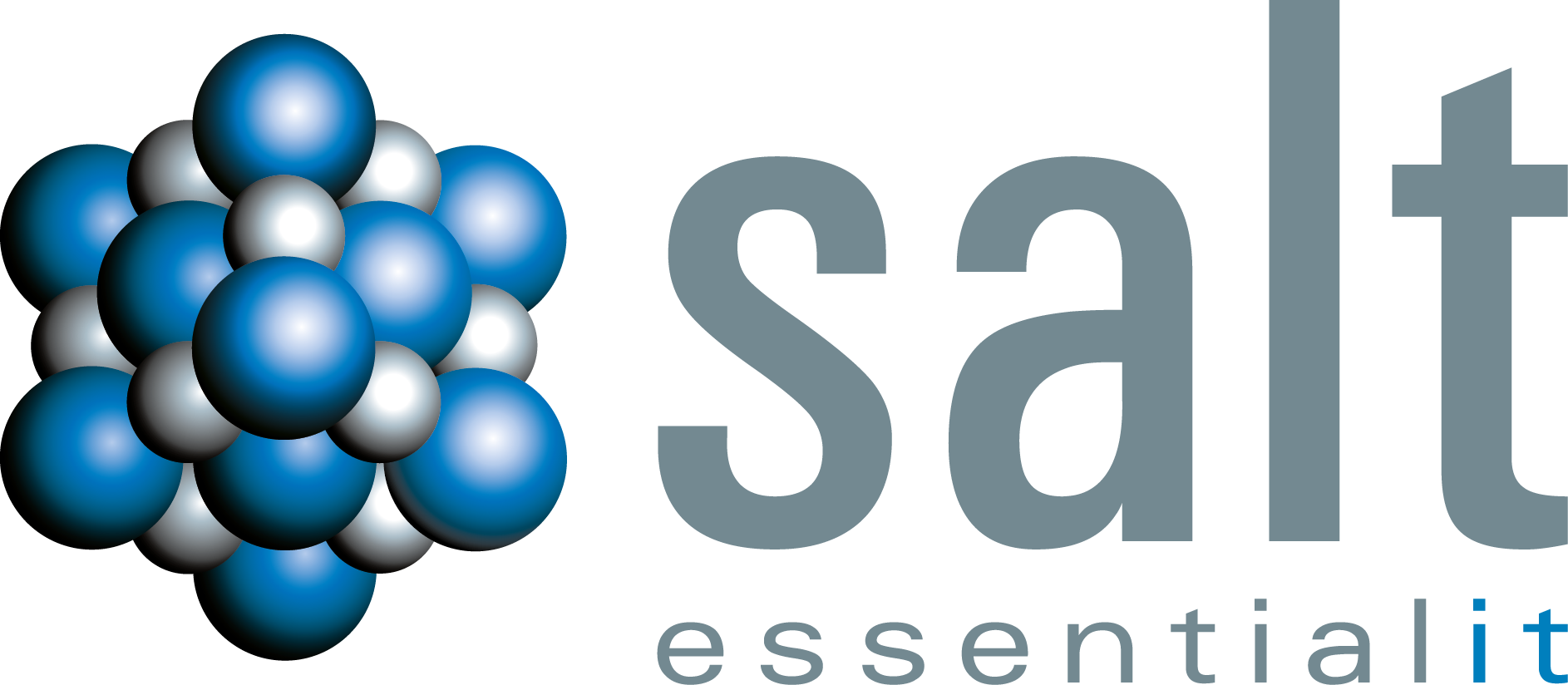 Salt Essential Information Technology logo